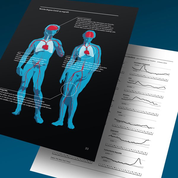 Beispielseiten mit Infografiken